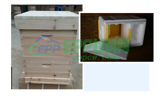EPP蜜蜂养殖箱