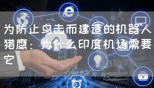 为防止鸟击而建造的机器人猎鹰：为什么印度机场需要它 